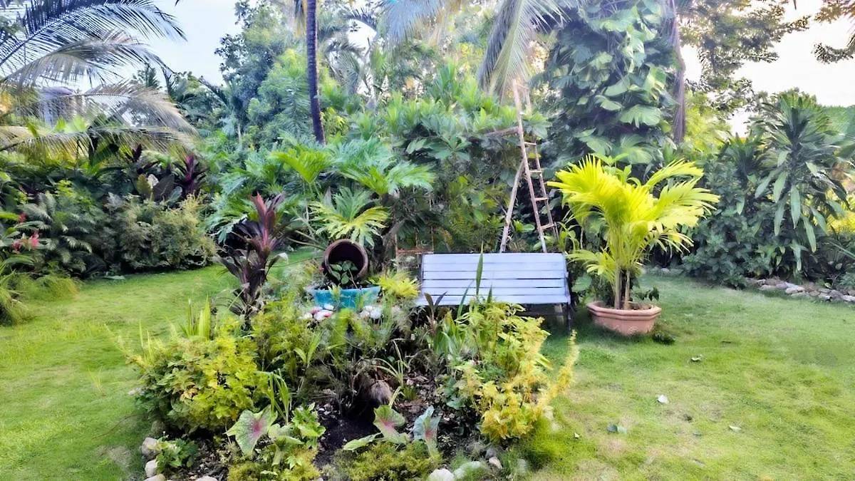 The Coconut Palm Villa- With Wifi And Pool Ocho Rios Apartment