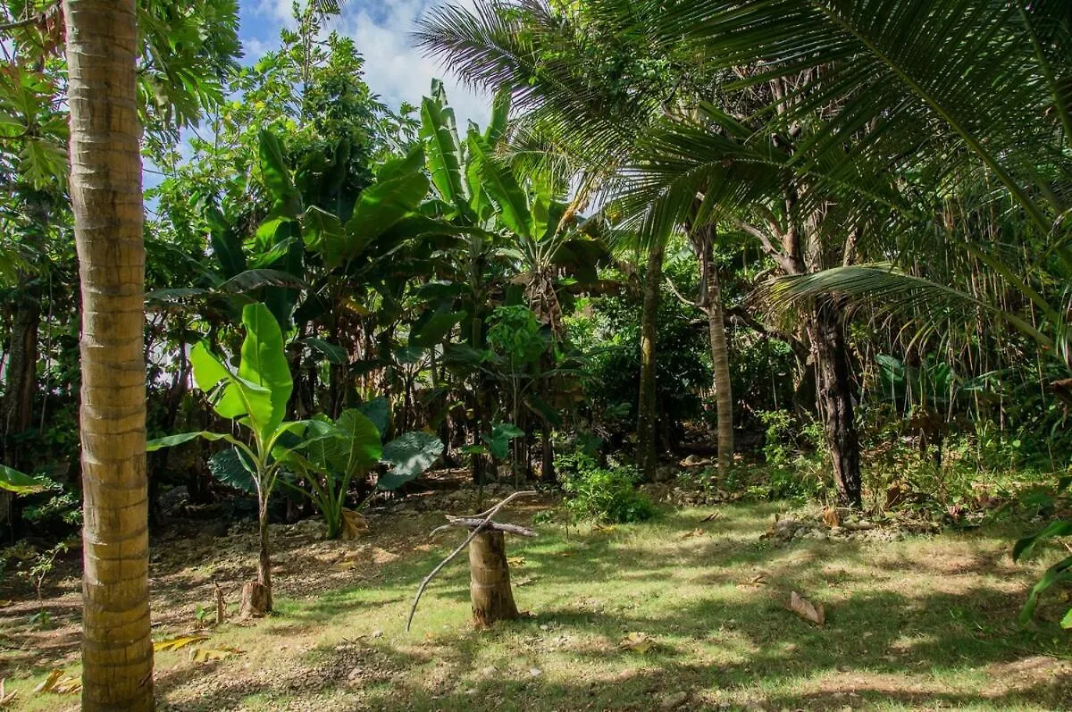The Coconut Palm Villa- With Wifi And Pool Ocho Ríos 0*,  Jamaica