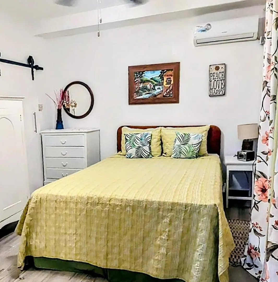 The Coconut Palm Villa- With Wifi And Pool Ocho Ríos Apartamento