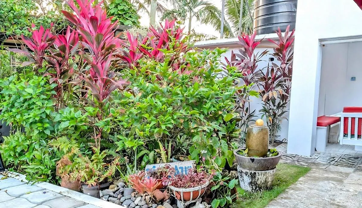 The Coconut Palm Villa- With Wifi And Pool Ocho Ríos