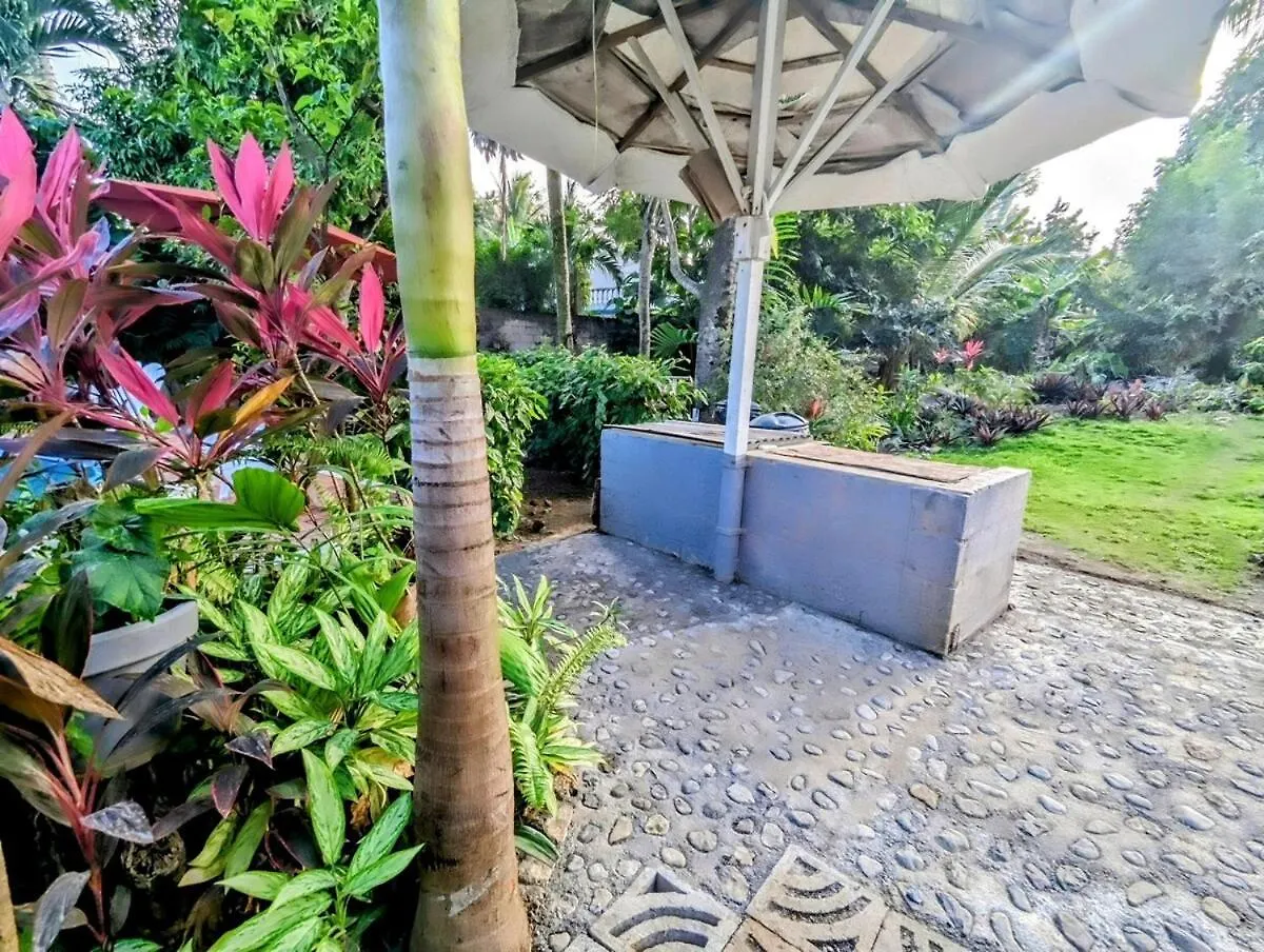 Apartamento The Coconut Palm Villa- With Wifi And Pool Ocho Ríos