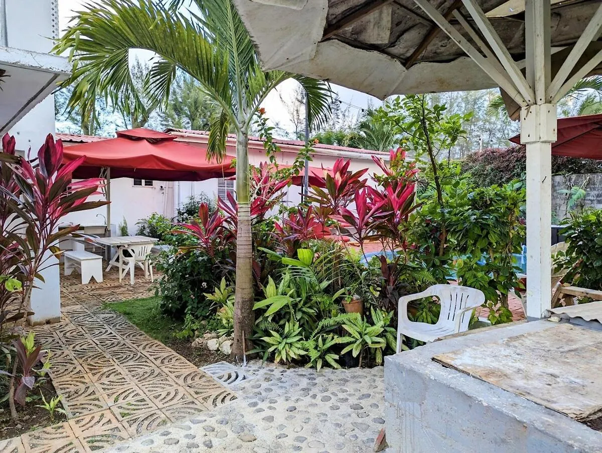 The Coconut Palm Villa- With Wifi And Pool Ocho Ríos Jamaica