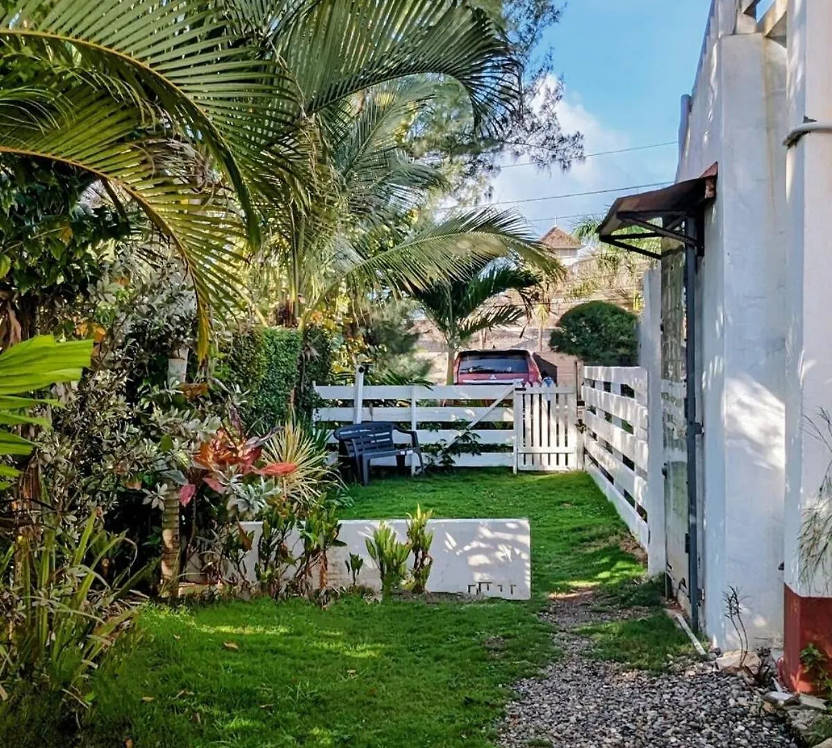 The Coconut Palm Villa- With Wifi And Pool Ocho Ríos