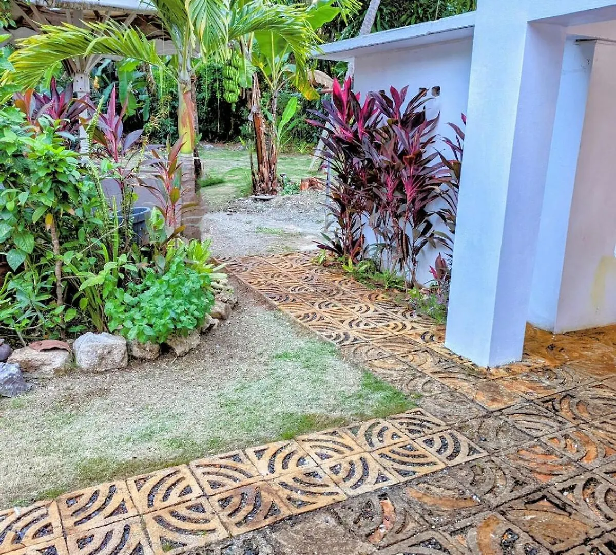The Coconut Palm Villa- With Wifi And Pool Ocho Rios Jamaica